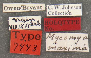 Media type: image;   Entomology 7443 Aspect: labels